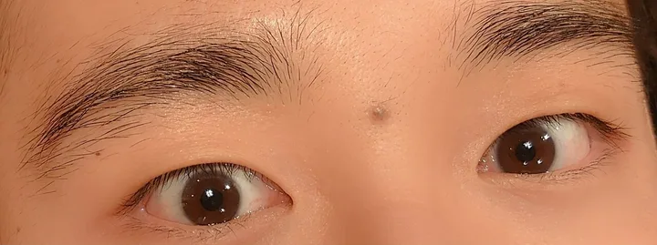 施術前の眉(ボサボサで形がない眉)