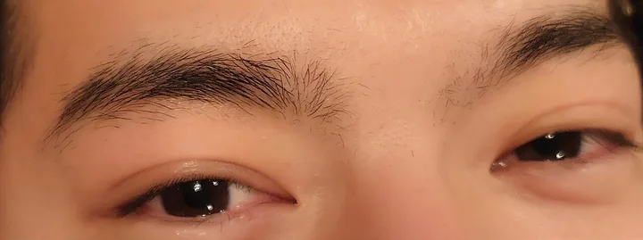施術前の眉(太くて毛が暴れる眉)
