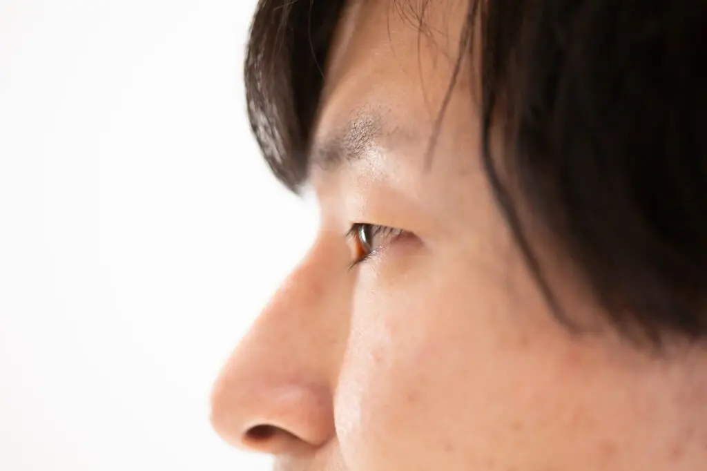 男性の眉