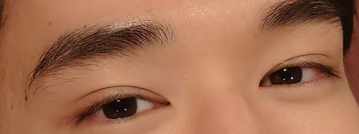 施術前の眉(太さを生かしたい眉)